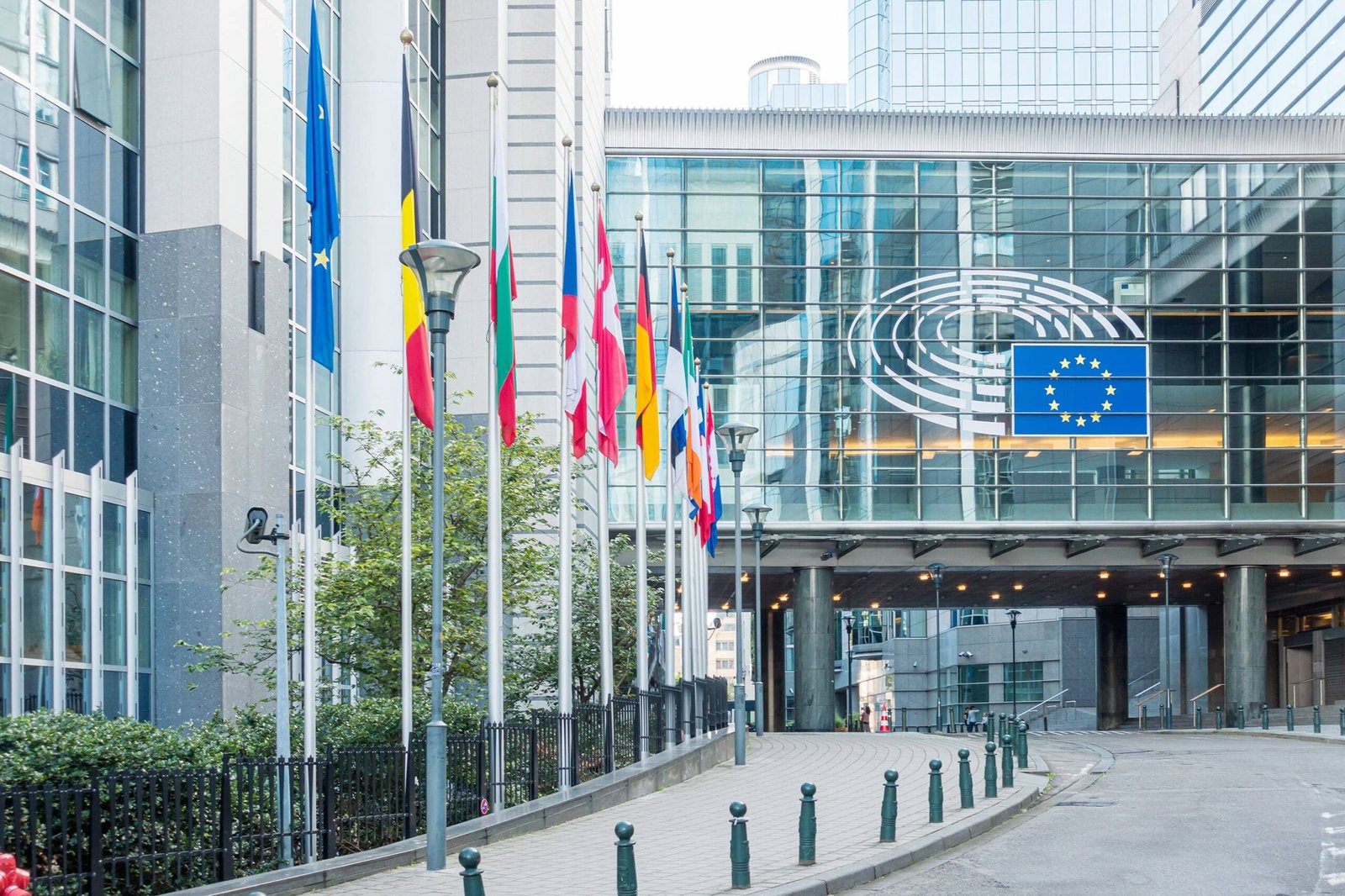 Cloud-Driven Growth: The European Software Companies Leading the Way